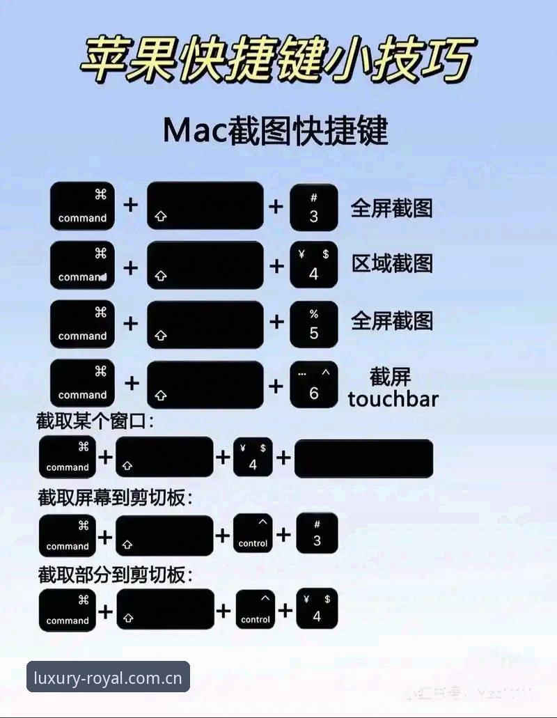 皇家国际入口地址使用指南 皇家国际官网入口实用指南:从入门到精通的必备知识