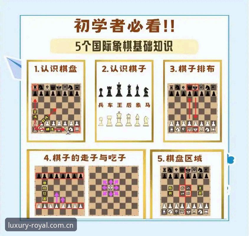 皇家国际ROYAL使用技巧深度评测：从入门到高手的进阶指南